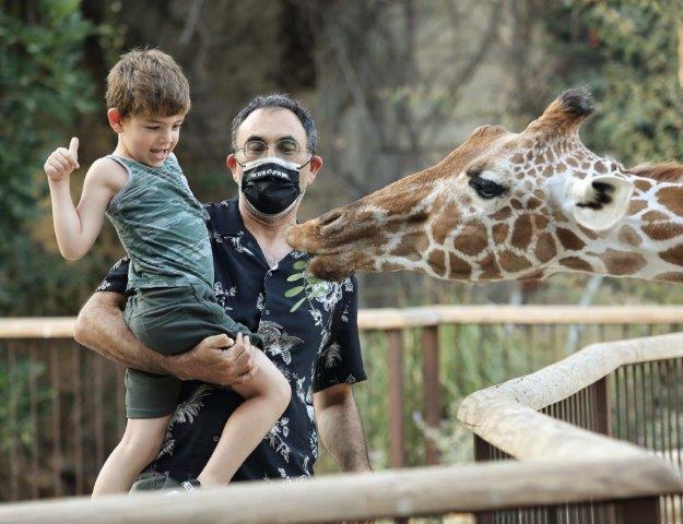 עדכונים חמים מהביצה ועוד…