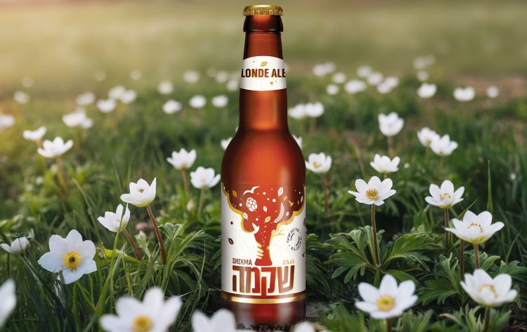 השתיין: חדשות, עדכונים ומידע בנושא אלכוהול