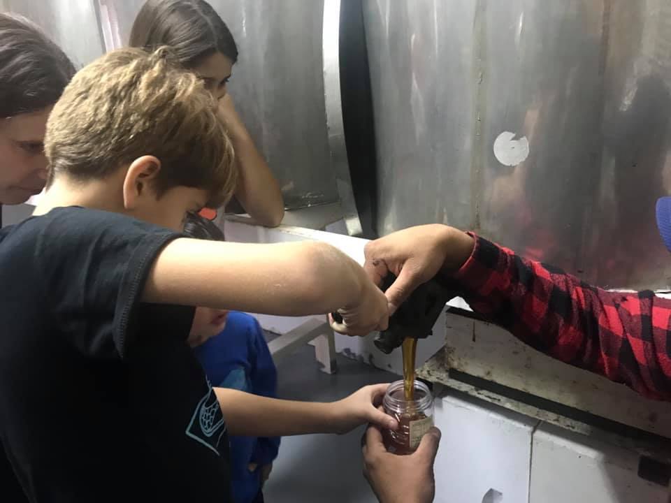 אלין
