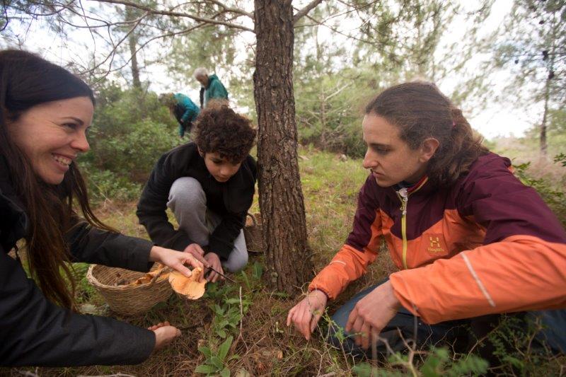 צילום: אלון מאיר