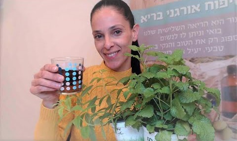 מיכל