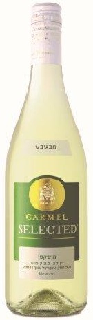סלקטד_מוסקטו_2019_צילום_אייל_קרן