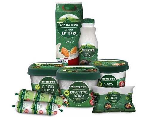 גבינה