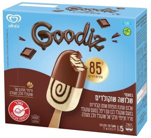 שלגון