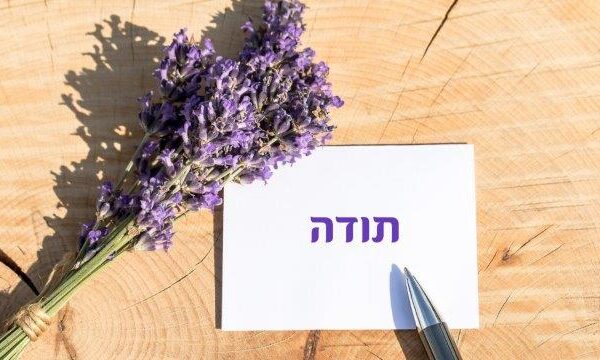 בשביל הרוח: בואו נתרגל הכרת תודה
