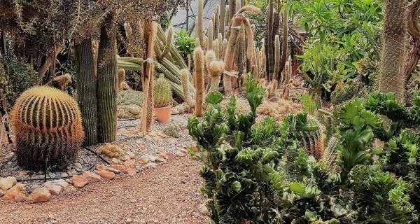 מחפשים אטרקציה משפחתית לפסח? הכירו את פארק מיטל במשתלות רגב