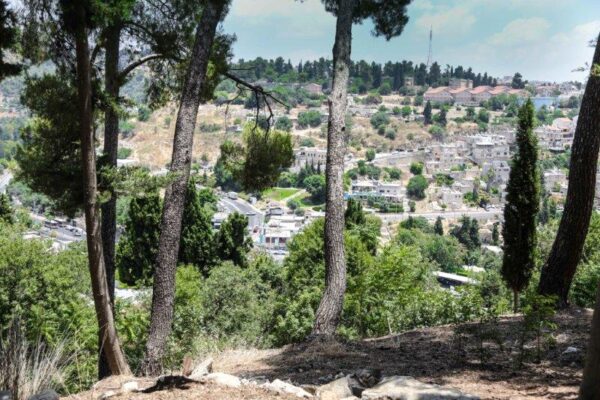 לא רק קברי צדיקים: מה כדאי לכם לעשות בצפת?