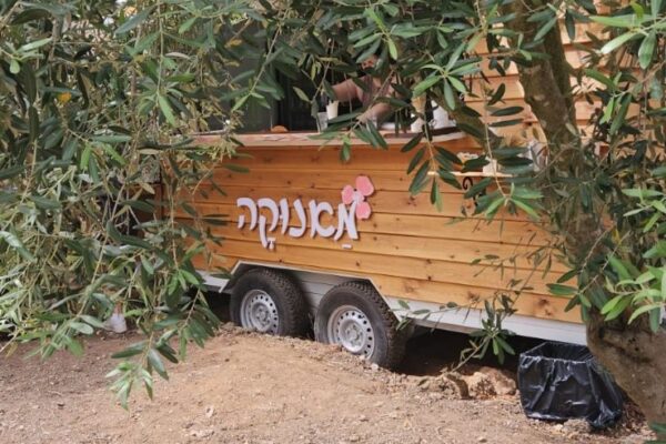מאנוקה: חצי מנה מחיר שלם