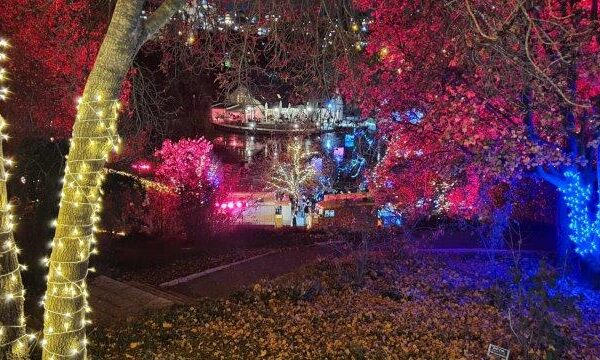 Winter Lights – שוק חג צבעוני כמעט כמו באירופה