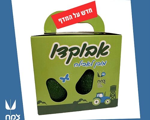 בשירות העור: איך יודעים שהפרי הירוק הבשיל?