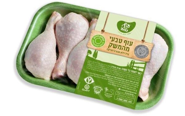 מבזק קולינרי: בדיקת מוצרי מזון חדשים