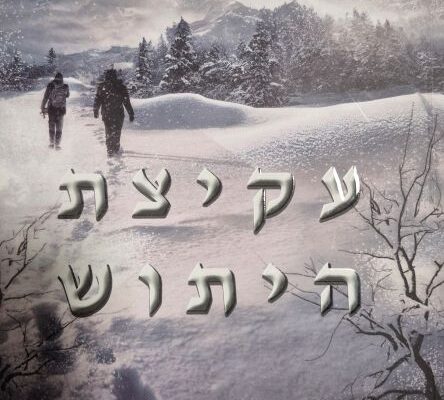 ארבעה ספרים מומלצים שיעזרו לעבור את סופהשבוע בכיף