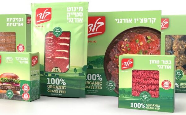 מבזק קולינרי: בדיקת מוצרי מזון חדשים