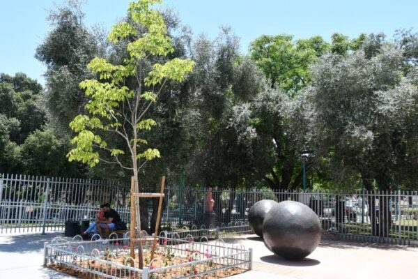 אלבום דרום: סיפורו של הנגב המערבי החל מקום המדינה ועד למלחמת חרבות ברזל