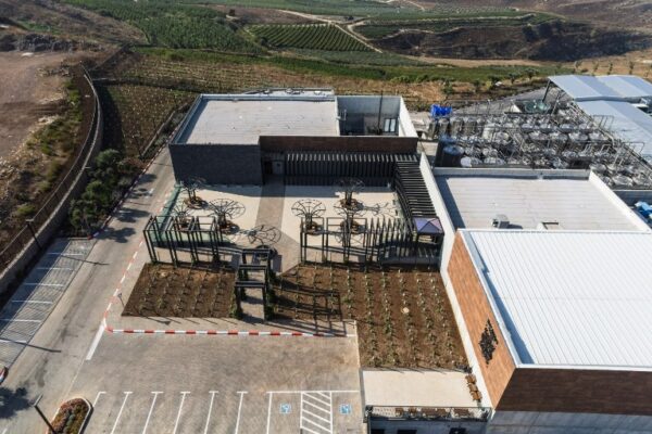 השתיין מתבשם להנאתו ביקב רקאנטי שביישוב דלתון