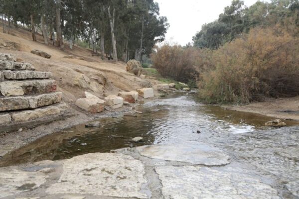 הלב עם הדרום: חמישה מקומות שחייבים להכיר באירועי "דרום בלב"