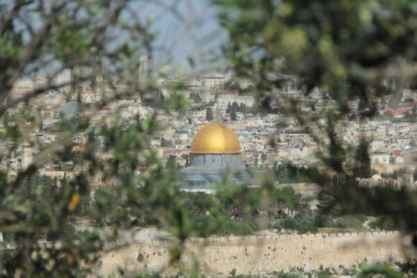 טעם של ירושלים: יין, זיכרון ותקווה