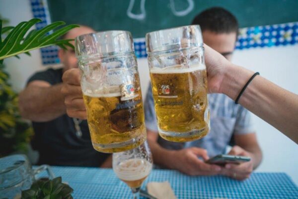 השתיין: חדשות, עדכונים ומידע בנושא אלכוהול