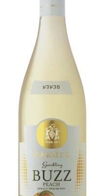 השתיין: חדשות, עדכונים ומידע בנושא אלכוהול