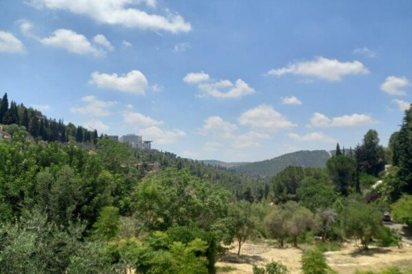 למה לא כל יום שבת: מה תוכלו לעשות בשבת בירושלים?