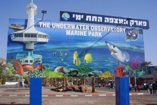 מרהיב:  פארק המצפה התת ימי באילת