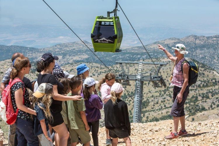 רוחות מלחמה: נזקי מבצע "שאגת הארי" בצפון