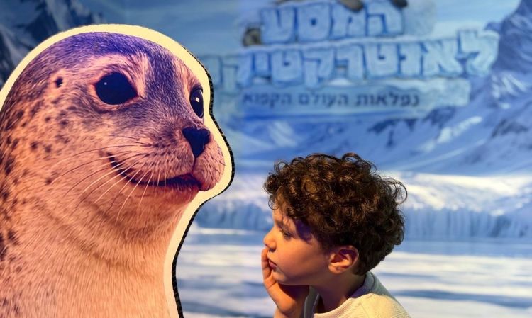 חפש באנטארקטיקה