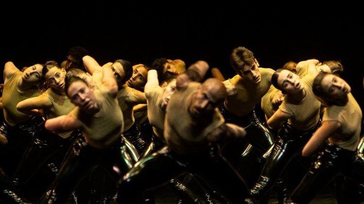 כשהגוף מתחיל לדבר: BOLERO X הוא טקס מהפנט שאי אפשר להסיר ממנו את העיניים
