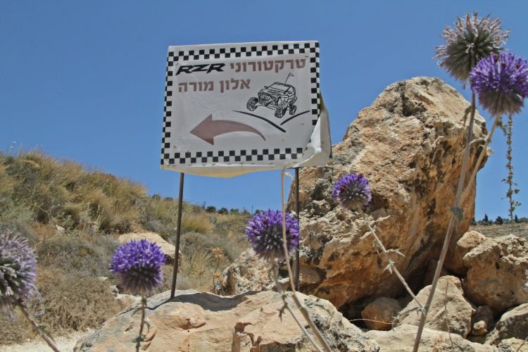 השומרון10